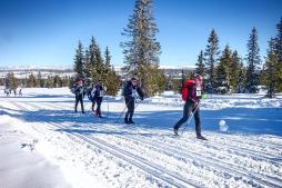 Birkenfestival und Birkebeiner-Lauf