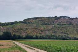 zum Vergrößern hier klicken Spessart Mainfranken - Radreise