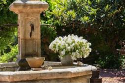 Vaucluse En Provence
