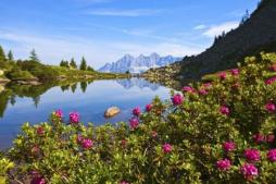 Tour de Mur - Radeln in der Steiermark