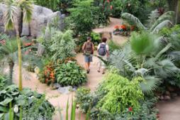 Orchideeën Hoeve- das exotische Ausflugsziel
