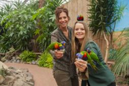 Orchideeën Hoeve- das exotische Ausflugsziel