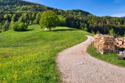 zum Vergrößern hier klicken Chiemsee - Radreise - Individualtour