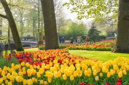 zum Vergrößern hier klicken Keukenhof