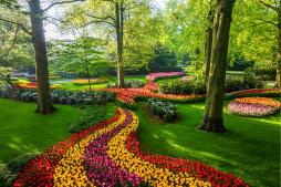 zum Vergrößern hier klicken Keukenhof